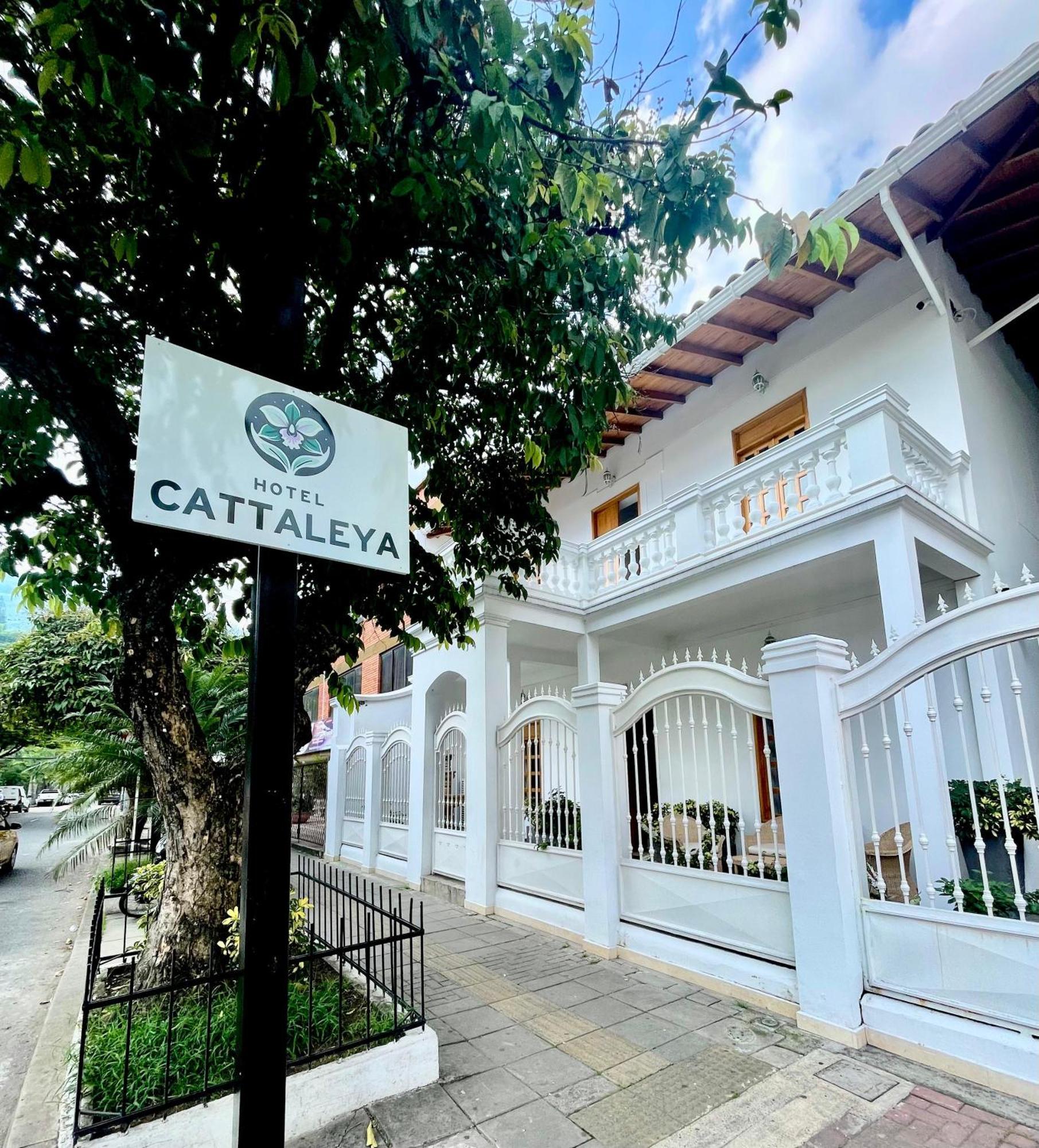 Hotel Cattaleya City Cali Exterior foto